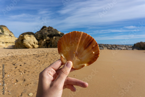 Hand holding a shell on a sand beach in Portugal