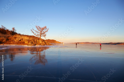 Lake Baikal in December.  View of the frozen Kurkut Bay in the rays of the setting sun. Larch on the shore is reflected in the frozen surface of the lake