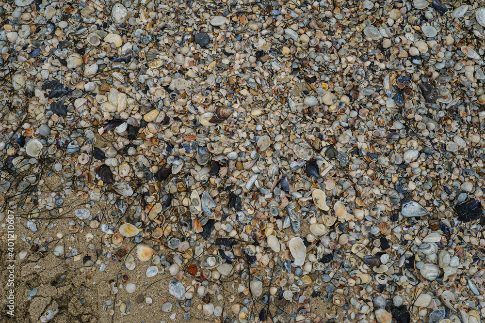 The texture of stones on the beach. Pebbles and shells background. The texture of stones on the beach. Pebbles and shells background.