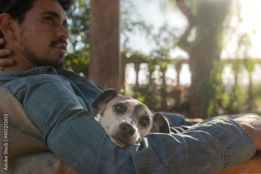 close up. a gray dog rests on the arm of a man dressed in blue close up. a gray dog rests on the arm of a man dressed in blue