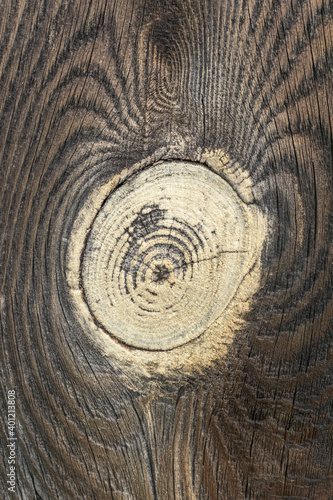 Wooden surface for the backdrop. Knot in the wood. Cracks, natural patterns.