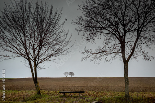 trees and a bench looking over farmland