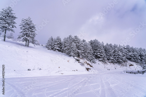 【冬イメージ】厳冬期の雪原 © travel