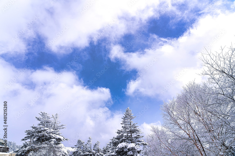 【冬イメージ】厳冬期