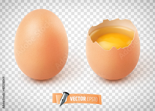 Oeufs vectoriels sur fond transparent