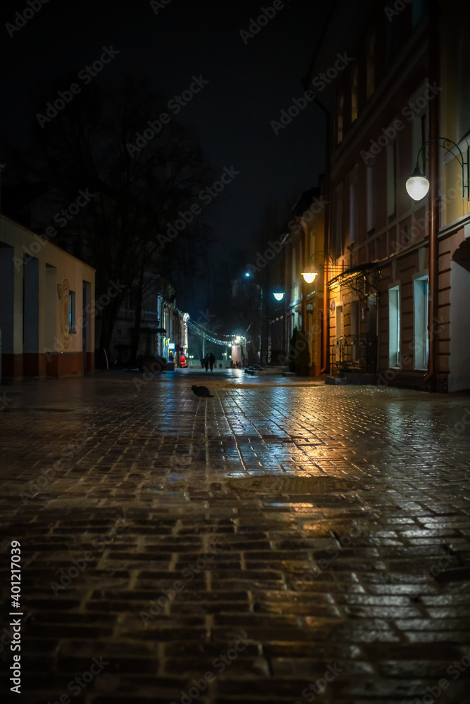 Black cat in the middle of a brick road at night in the city. night view of the city street with a brick road covered with ice, rain. Vertical photo