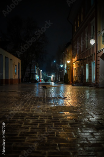Black cat in the middle of a brick road at night in the city. night view of the city street with a brick road covered with ice, rain. Vertical photo