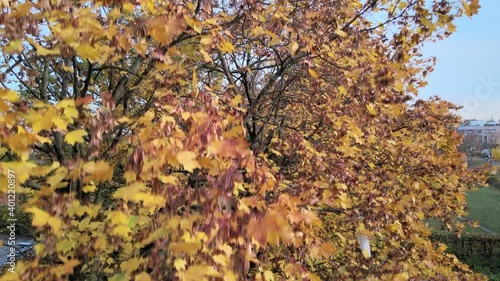 Herbstliche Parklandschaft in der Stadt