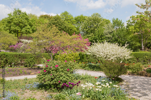 Fototapeta Naklejka Na Ścianę i Meble -  beautiful spring landscape with walkways flower beds and blooming trees, Westpark Munich