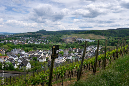 Wandern im Ahrtal über Ahrweiler auf dem Rotweinwanderweg