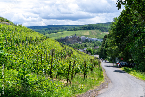 Wandern im Ahrtal über Ahrweiler auf dem Rotweinwanderweg