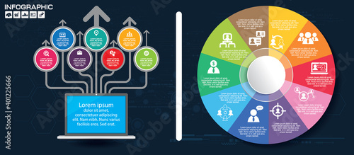 Business Infographic Template. Data Visualization. Can be used for workflow layout, number of options, steps, diagram, graph, presentation, chart and web design. Vector illustration.