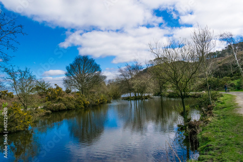 lake in the forest