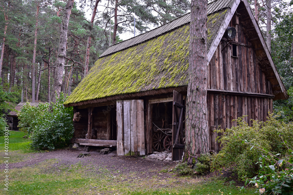 old house in the forest with a green roof old house in the forest with a green roof