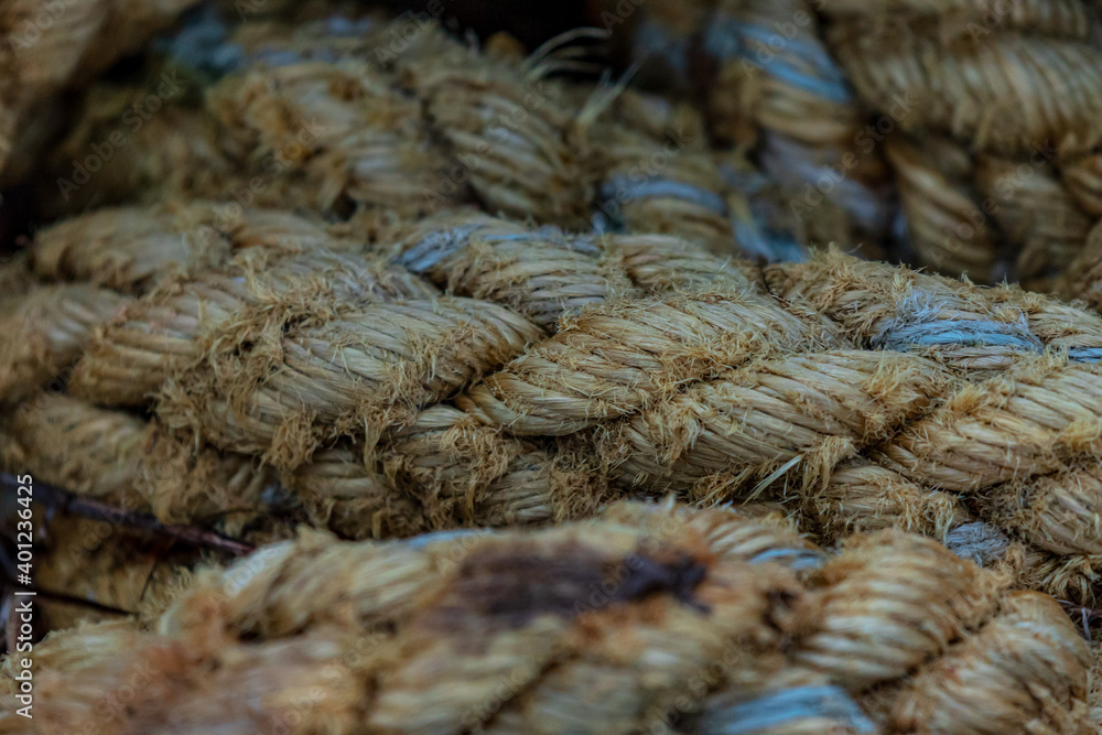 the thick ropes of ships are washed ashore the thick ropes of ships are washed ashore