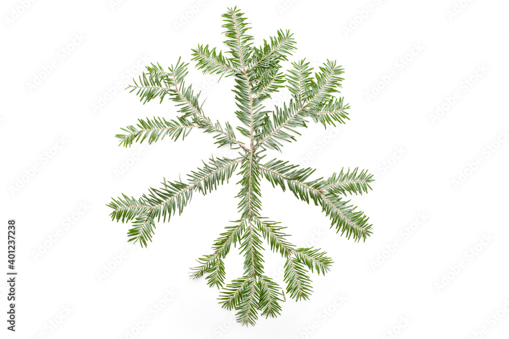 snowflakes made of spruce branches. new year minimal concept. flat lay, top view. snowflakes made of spruce branches. new year minimal concept. flat lay, top view.