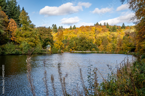 view of a lake in the autumn sunshine, lined with deciduous trees, which produce their leaves in beautiful yellow and red colors
