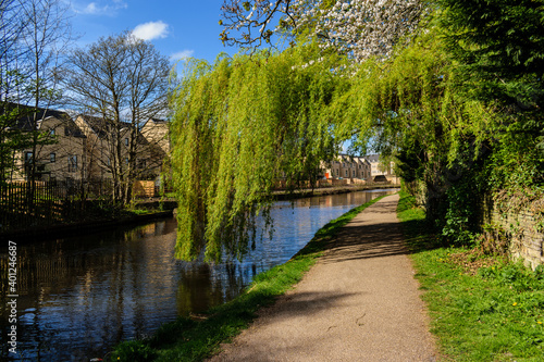 canal in the park