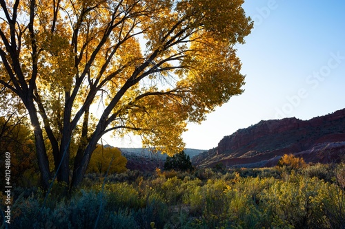 Paria  Utah in Autumn