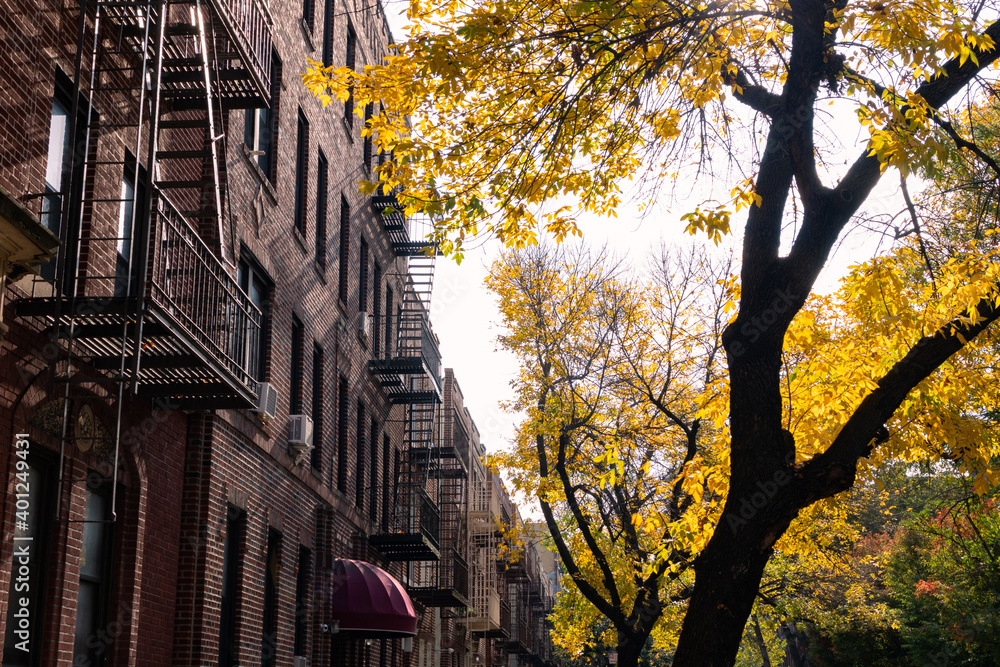 Row of Old Brick Apartment Buildings with Colorful Trees during Autumn in Astoria Queens New York