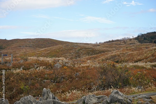 The landscape of Akiyoshi plateau in Akiyoshidai Kokutei Koen, Akiyoshidai National Park, in Yamaguchi, Japan - 秋吉台 日本	 photo