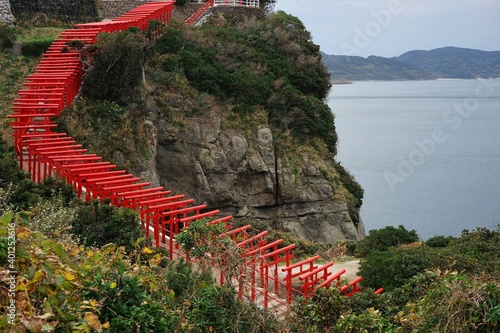 Many torii gates of the Motonosumi shrine in Yamaguchi, Japan - 元乃隅神社 鳥居 山口県 日本	 photo