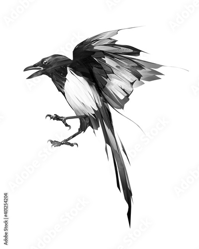 Valokuva painted bird magpie in flight on a white background