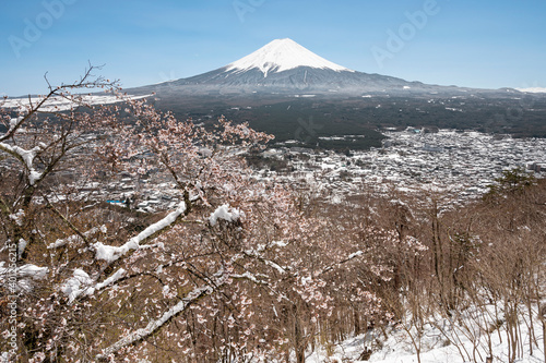 A view of Mount Fuji from Kawaguchiko Tenjozan Park after a spring snow blizzard. photo