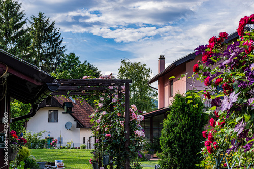 house with flowers © Amer