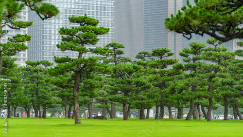 Parco accanto al Palazzo Reale di Tokyo photo