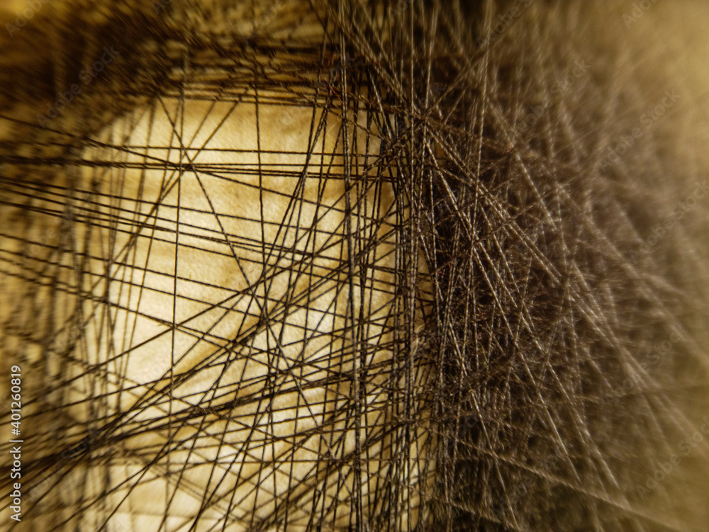 Obraz premium stringart