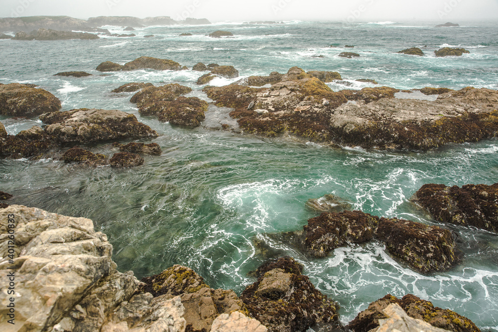 Fototapeta premium The Pacific Ocean coast in the city of Monterey in California. United States of America. Beautiful beach on a sunny day. Ocean landscape.