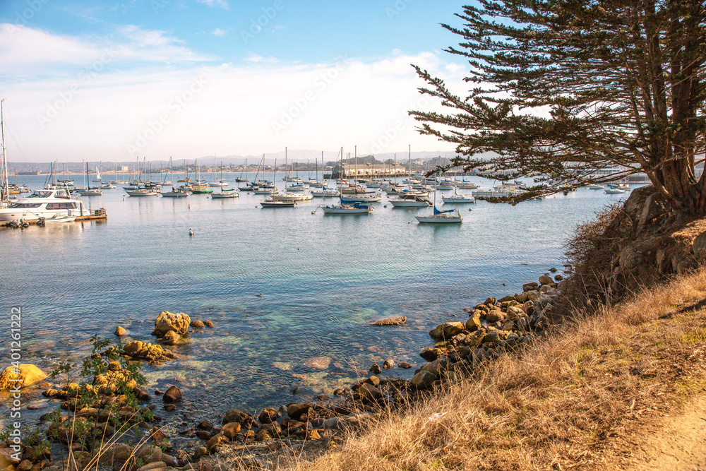 The Pacific Ocean coast in the city of Monterey in California. United States of America. Beautiful beach on a sunny day. Ocean landscape.