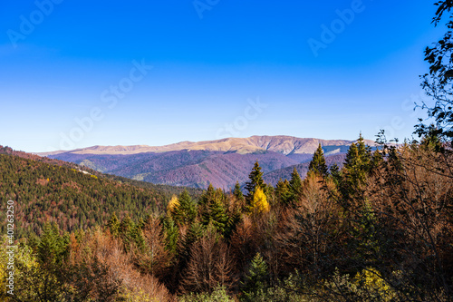 Obraz na płótnie Romanian mountain landscape w salonie