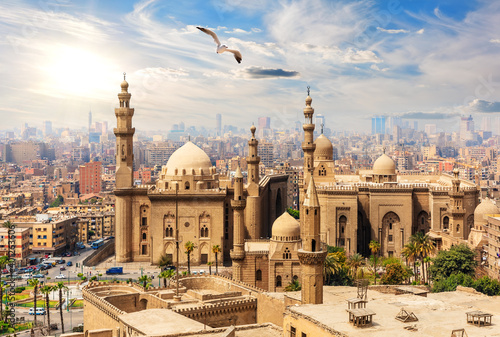 Seagull flies by The Mosque-Madrassa of Sultan Hassan from the Citadel, Cairo, Egypt