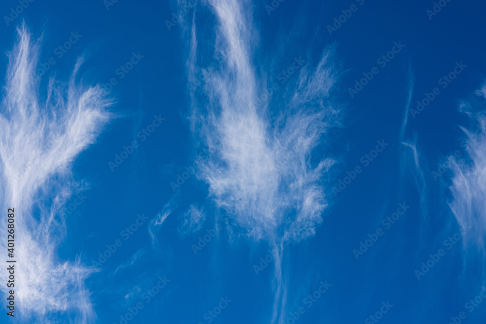 clouds leaves