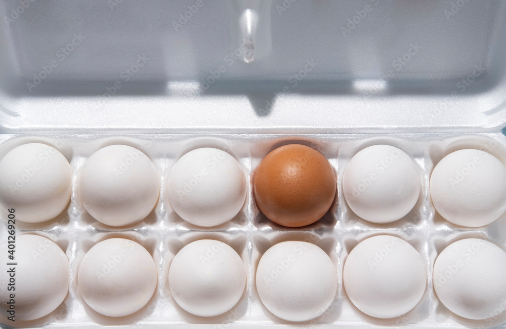 Twelve eggs in carton Twelve eggs in carton