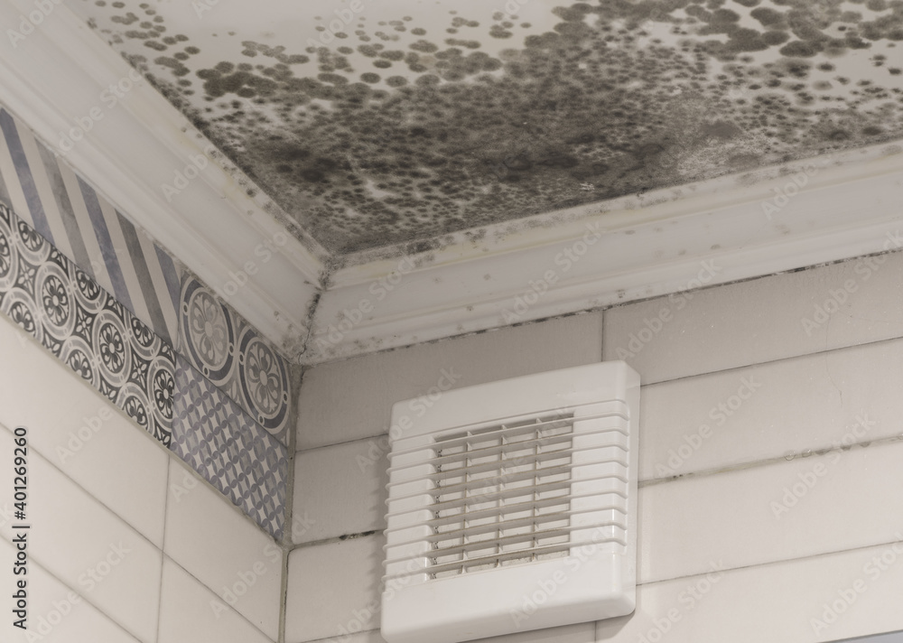 what-are-black-spots-on-ceiling-infoupdate