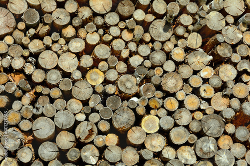 Firewood. Firewood in logs