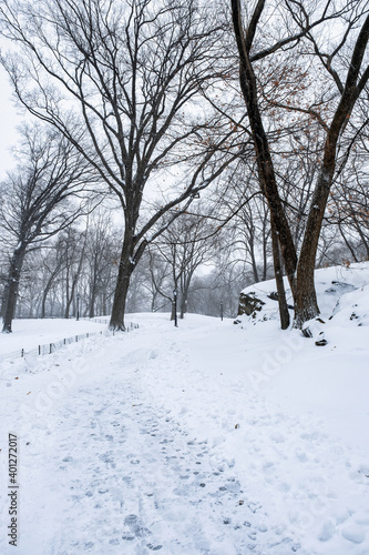 New York City - USA - Dec 17 2020: Winter Morning Snow Storm Hits Central Park New York City © Edi Chen