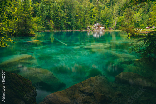 blue Water in the Blausee Switzerland with green trees in the background and fishes in the water  mystic epic  rare  unique  blue  green