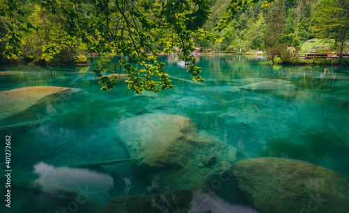 Fototapeta Naklejka Na Ścianę i Meble -  blue Water in the Blausee Switzerland with green trees in the background and fishes in the water, mystic epic, rare, unique, blue, green