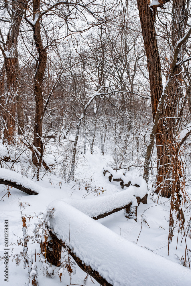 New York City - USA - Dec 17 2020: Winter Morning Snow Storm Hits Central Park New York City New York City - USA - Dec 17 2020: Winter Morning Snow Storm Hits Central Park New York City