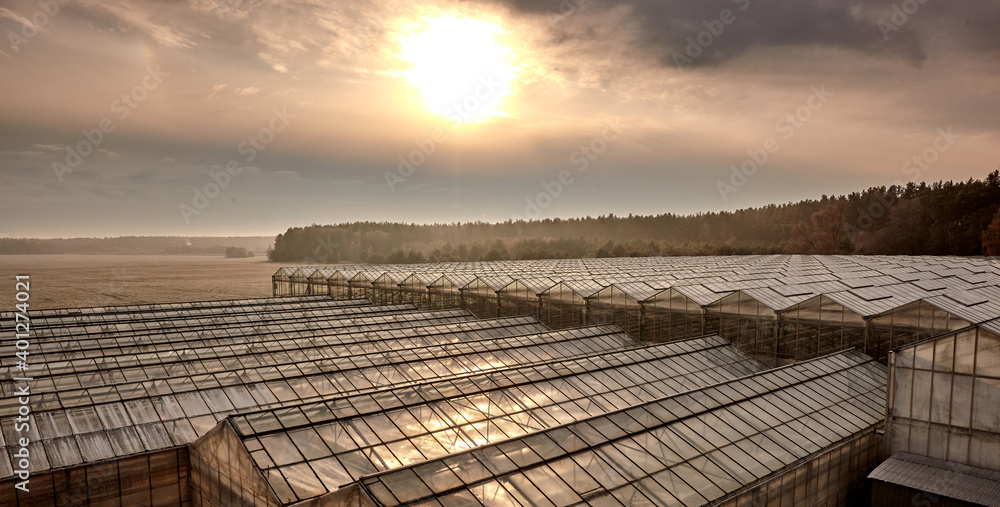 Industrial large glass greenhouses for growing vegetables against a blue sky with clouds and sun.