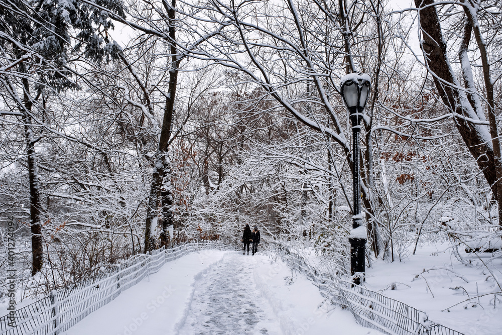 Obraz premium New York City - USA - Dec 17 2020: Winter Morning Snow Storm Hits Central Park New York City