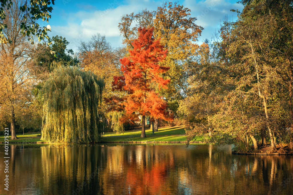 A beautiful park with autumn trees reflecting in the water i