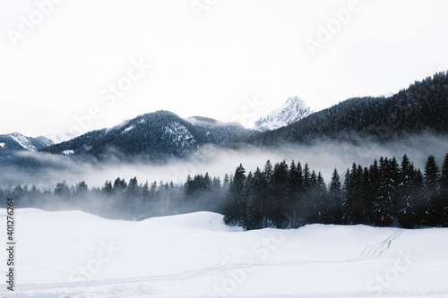 Cold winter scenery of mountain valley with dark coniferous woods and snowy hills during blizzard