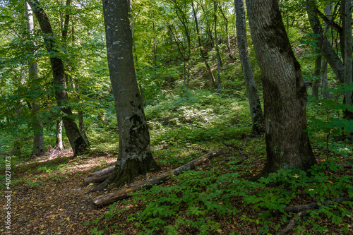 Way of the Narts in Nalchik  Kabardino-Balkaria  Russia.