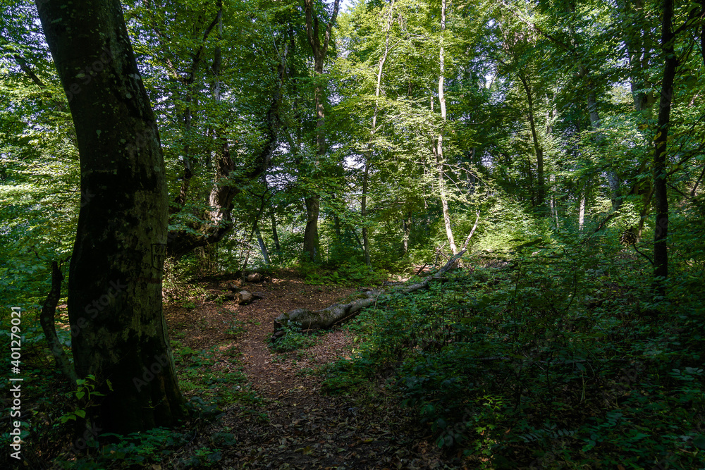 Way of the Narts in Nalchik, Kabardino-Balkaria, Russia.