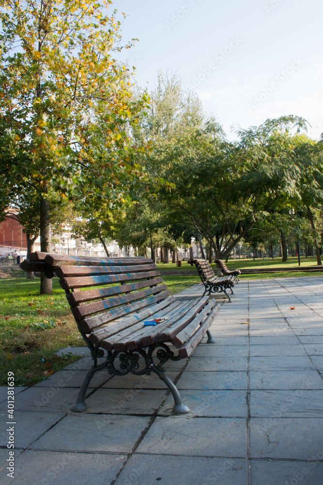 bench under a tree in the Park